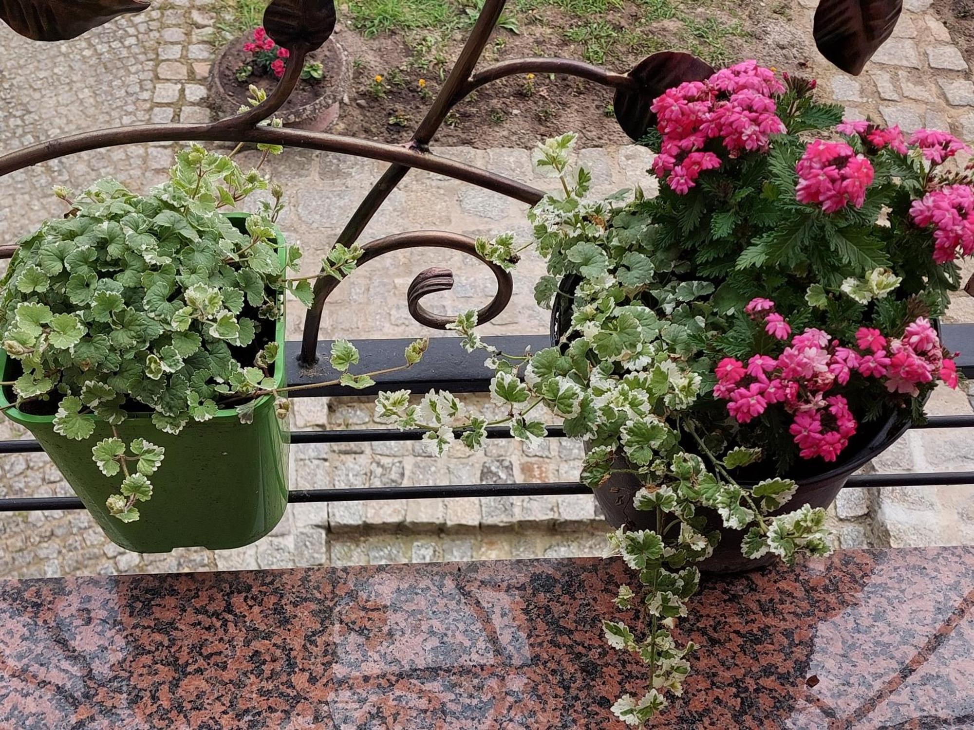 Apartamento La Brigitte Hennigsdorf Habitación foto